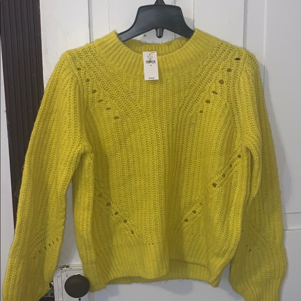 Brand new, never worn gap sweater
